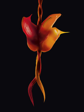 Romain Recht - Retoucheur Photos Textures