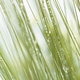 Romain RECHT – Retoucheur Photo Texture et Matière - PARIS