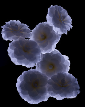 Romain RECHT – Retoucheur Photo Texture et Matière - PARIS