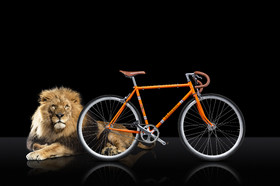 Romain Recht - Retoucheur Photos - Campagne Peugeot Cycle Lion