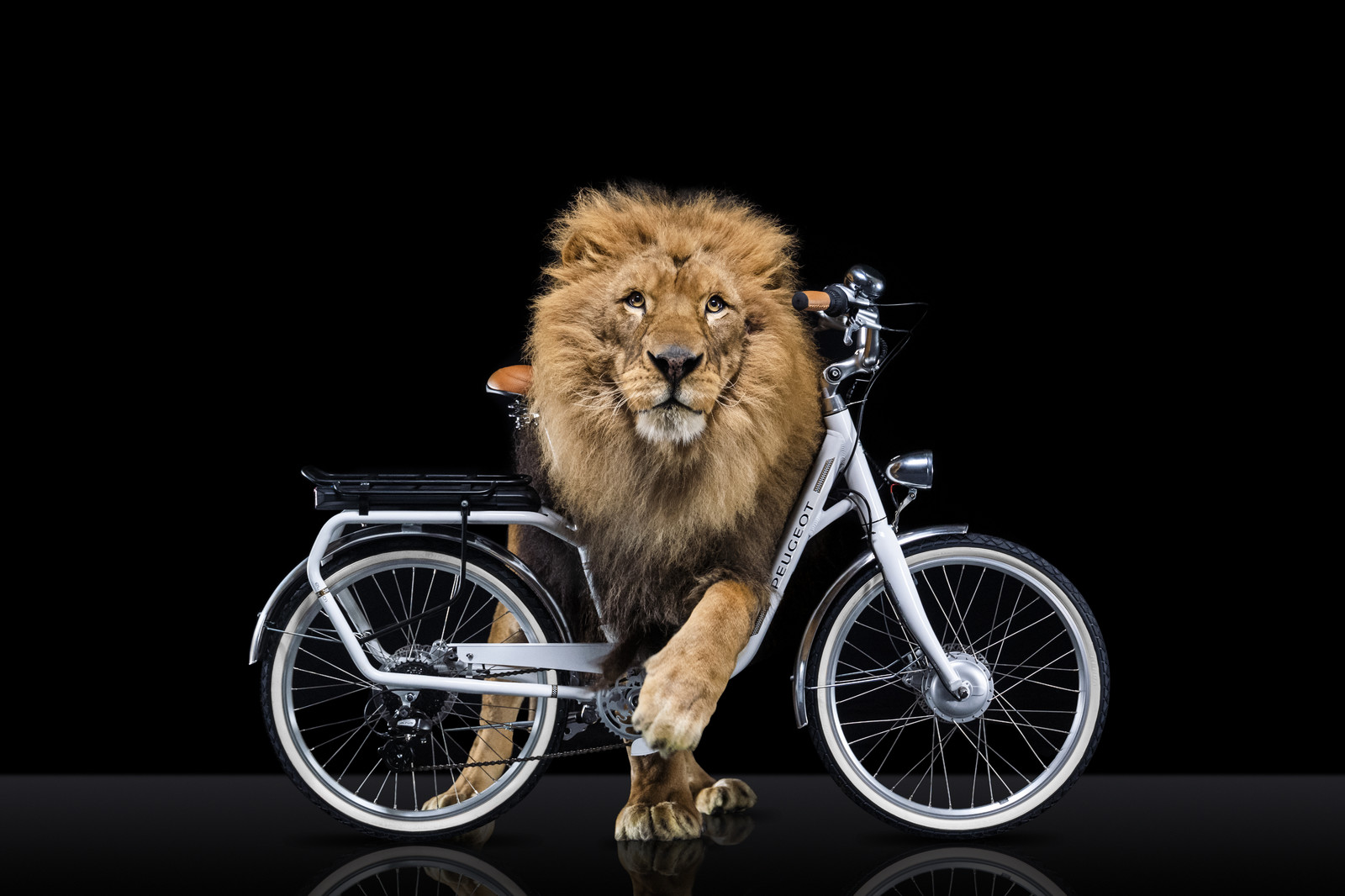 Romain Recht - Retoucheur Photos - Campagne Peugeot Cycle Lion
