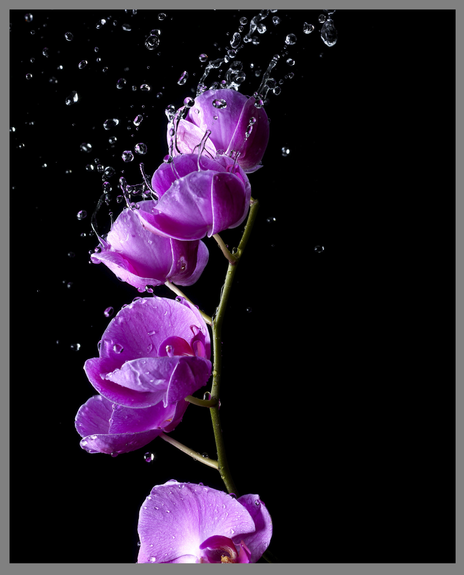 Retouche Photos Textures