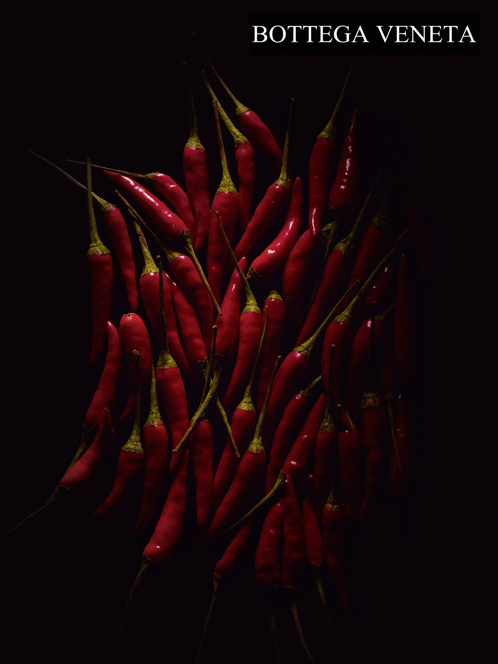 Romain RECHT – Retoucheur Photo Texture et Matière - PARIS - BOTTEGA VENETA