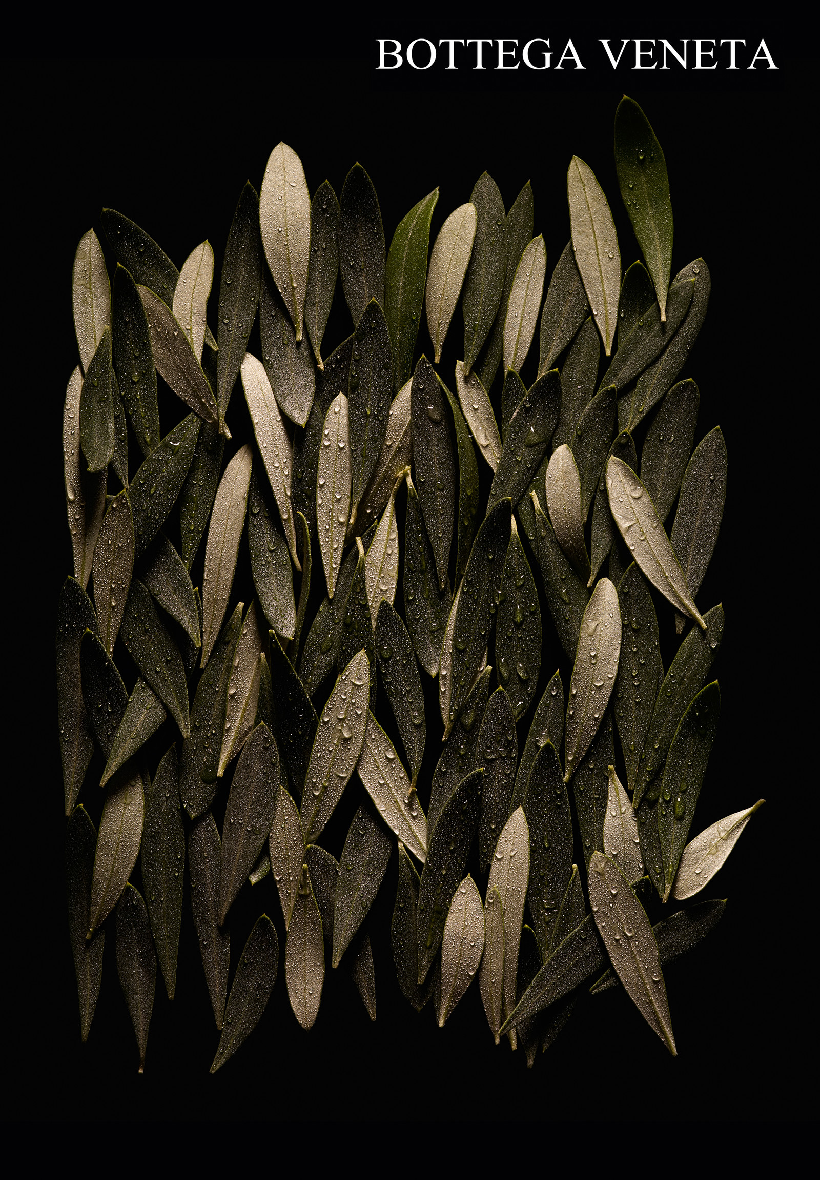 Romain RECHT – Retoucheur Photo Texture et Matière - PARIS - BOTTEGA VENETA