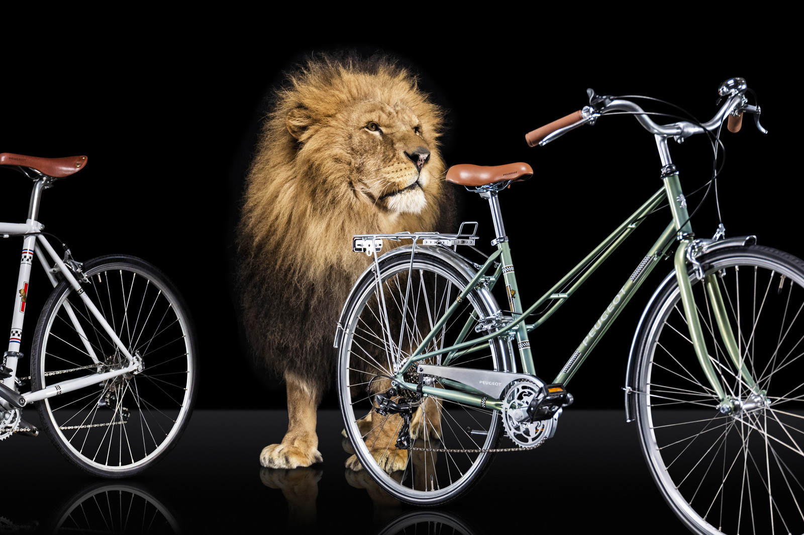 Romain Recht - Retoucheur Photos - Campagne Peugeot Cycle Lion