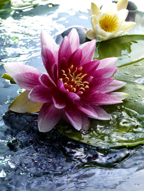 Romain RECHT – Retoucheur Photo Texture et Matière - PARIS