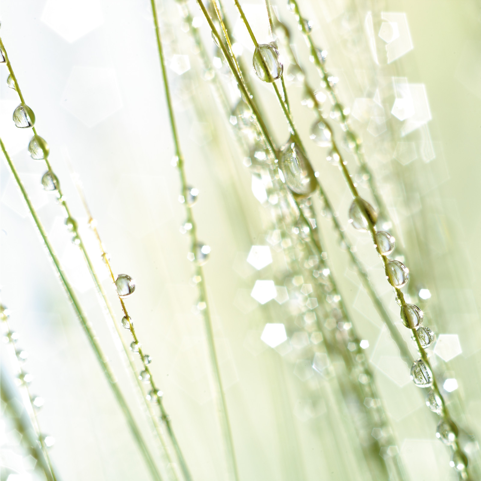 Romain RECHT – Retoucheur Photo Texture et Matière - PARIS