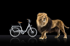 Romain Recht - Retoucheur Photos - Campagne Peugeot Cycle Lion